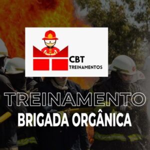 Treinamento de Brigada Orgânica