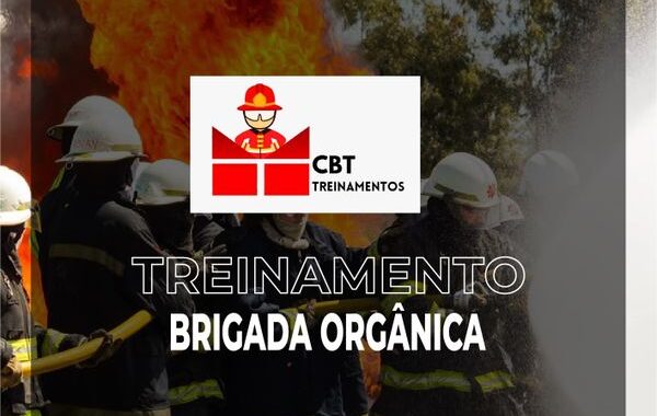 Treinamento de Brigada Orgânica